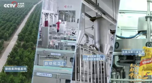 從被低估的沃土到世界之巔 一座中國(guó)城市的堅(jiān)果巨頭與教育軟件技術(shù)開發(fā)傳奇